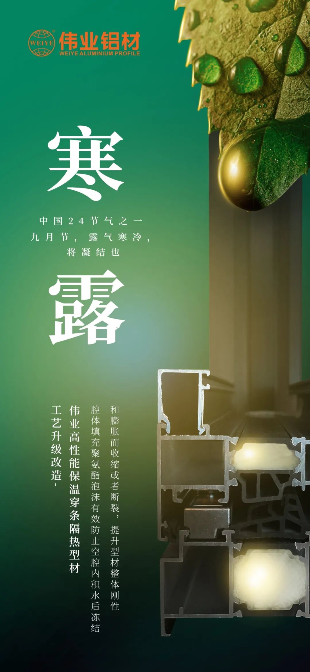 #寒露 九月節(jié)，露氣寒冷，將凝結(jié)也 時(shí)光入深秋，歲月便深情